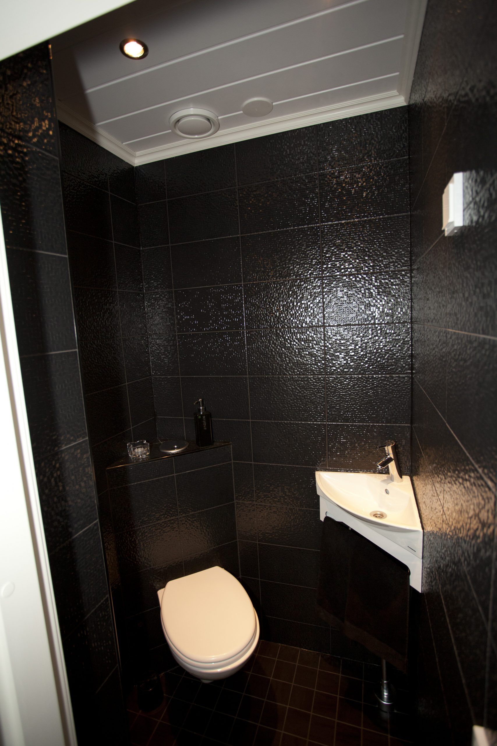 Sauna and bathroom