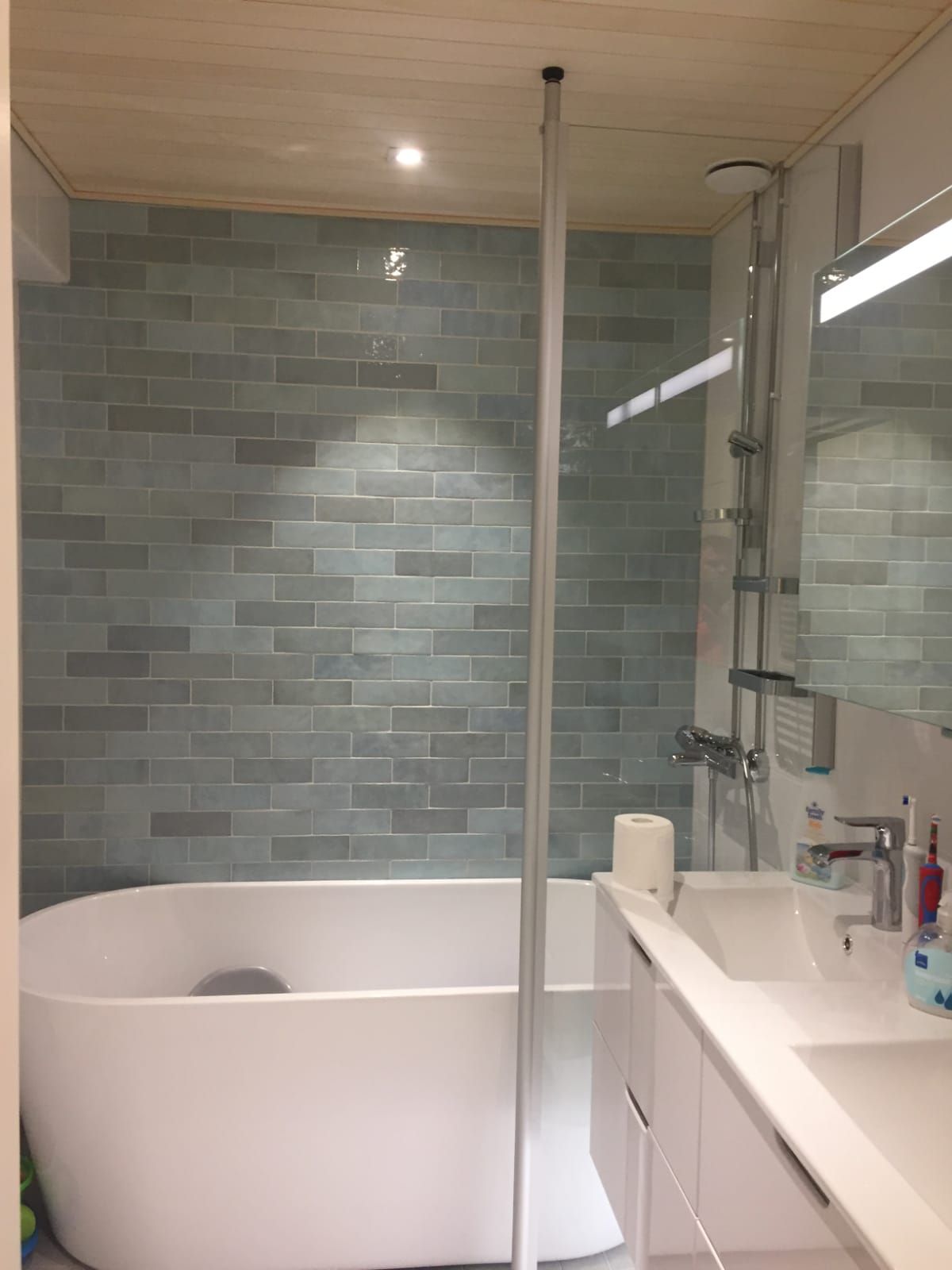 Sauna and bathroom